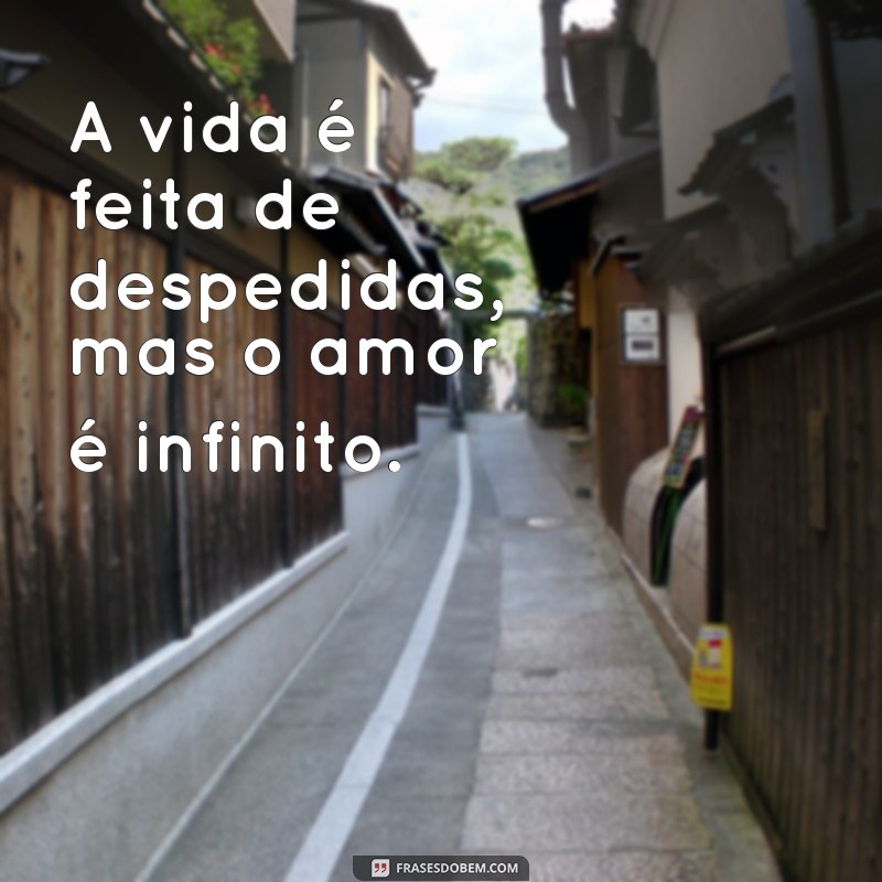 Frases Confortantes para Lidar com o Luto e Expressar Sentimentos 