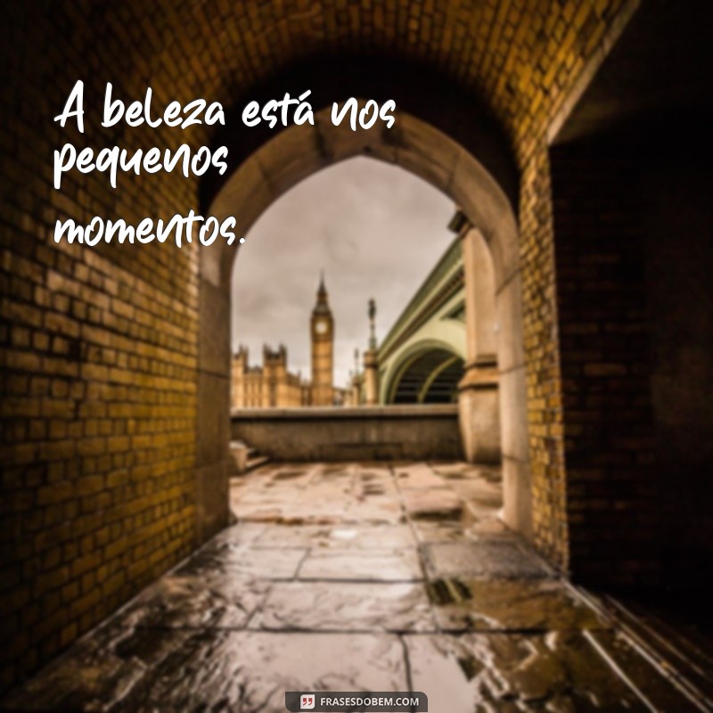 frases curta e bonita A beleza está nos pequenos momentos.