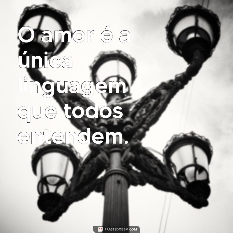 frases curta sobre amor O amor é a única linguagem que todos entendem.