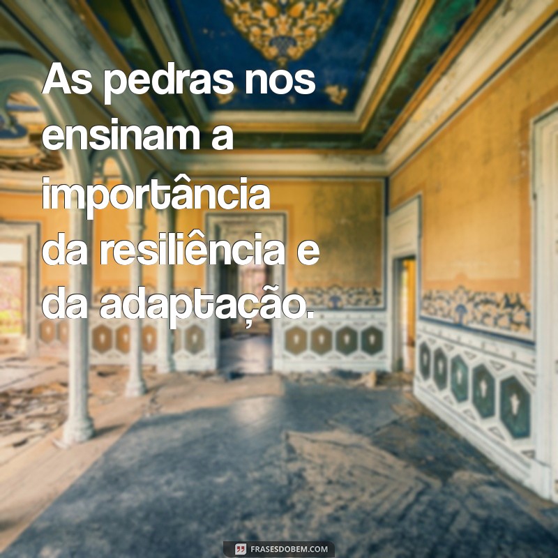 Transformando Pedras no Caminho em Oportunidades: Reflexões para a Vida 