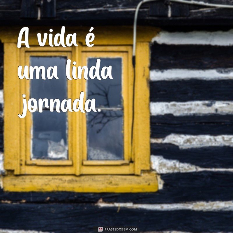 Frases Curtas e Inspiradoras para Filhos: Mensagens que Tocam o Coração 