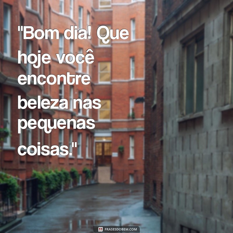 frases reflexão bom dia 