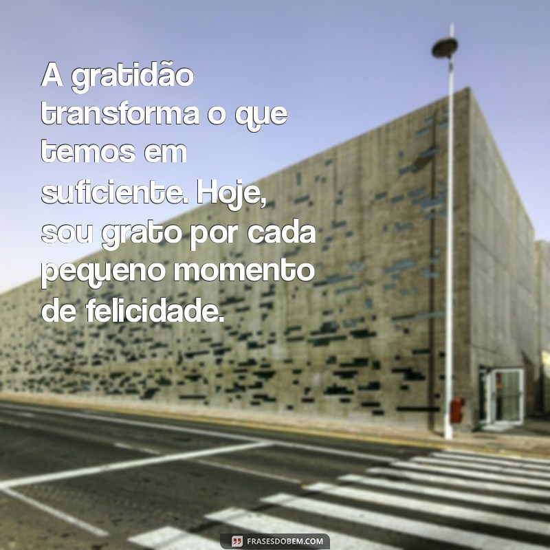 mensagem de gratidão e felicidade A gratidão transforma o que temos em suficiente. Hoje, sou grato por cada pequeno momento de felicidade.