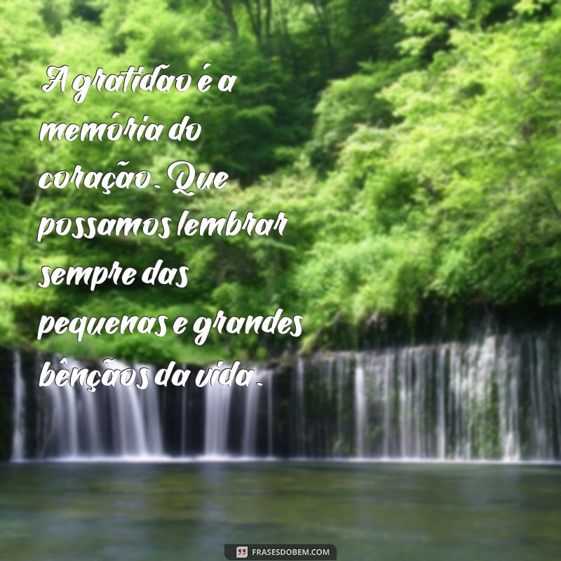 gratidao mensagem A gratidão é a memória do coração. Que possamos lembrar sempre das pequenas e grandes bênçãos da vida.