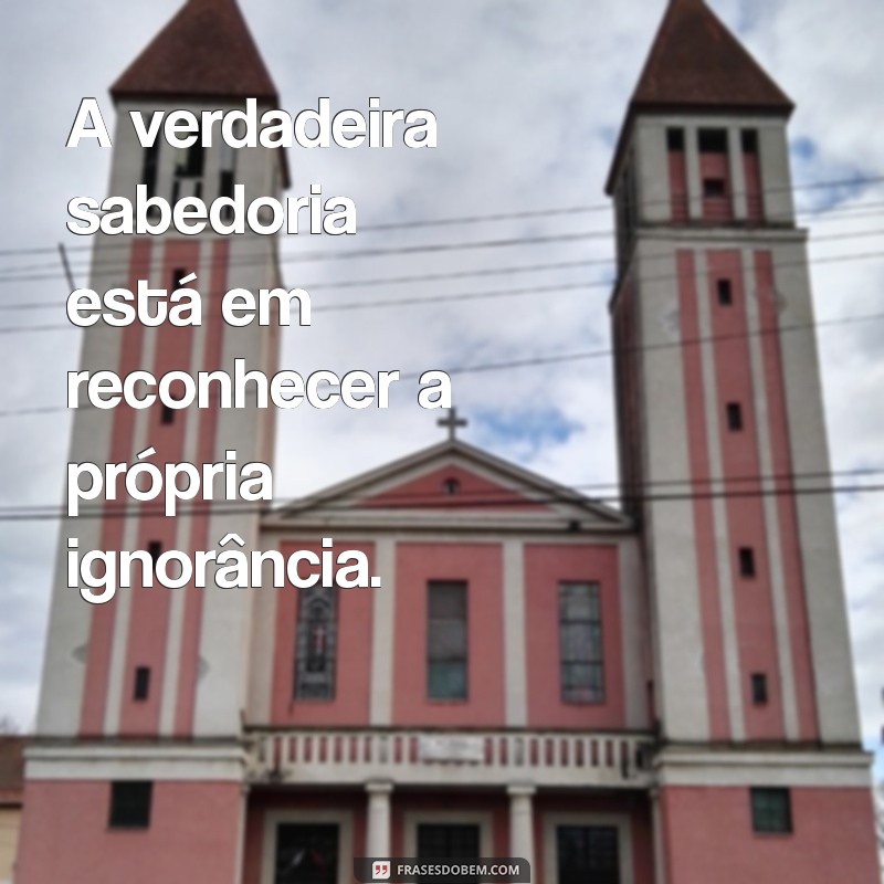 As Melhores Mensagens para Inspirar e Motivar: Encontre a Frase Perfeita 