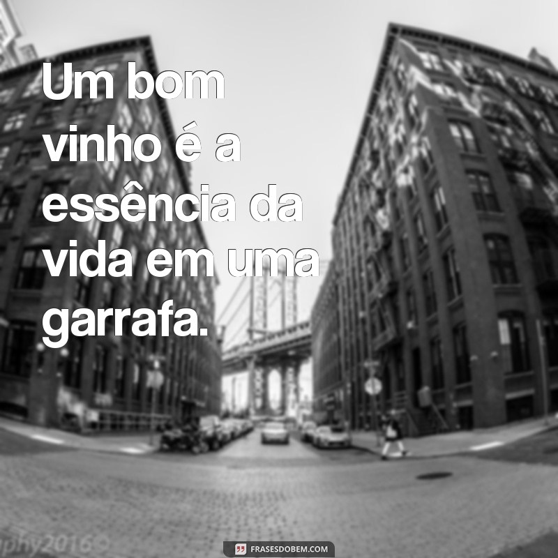 Descubra as melhores frases sobre vinho bom e brinde à vida! 