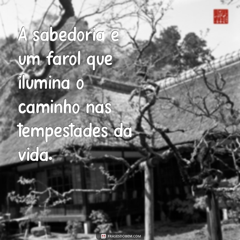 Frases Inspiradoras de Sabedoria e Discernimento para Transformar sua Vida 