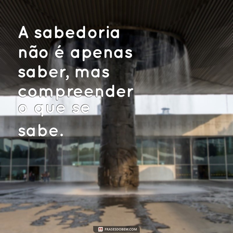 mensagem de sabedoria e discernimento A sabedoria não é apenas saber, mas compreender o que se sabe.