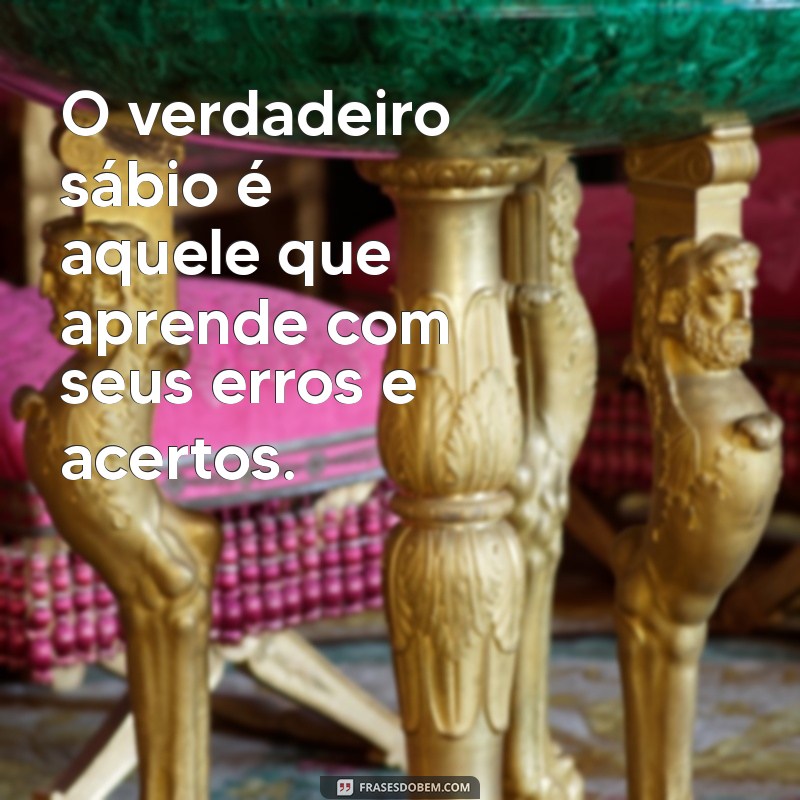 Frases Inspiradoras de Sabedoria e Discernimento para Transformar sua Vida 