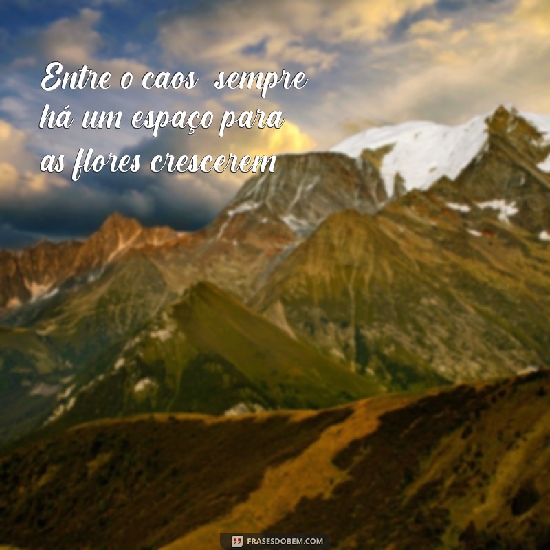 Frases Inspiradoras sobre Flores: Celebre a Beleza da Natureza 