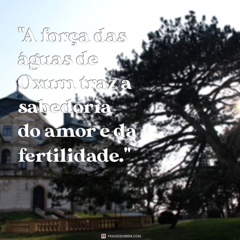 frases oxum 