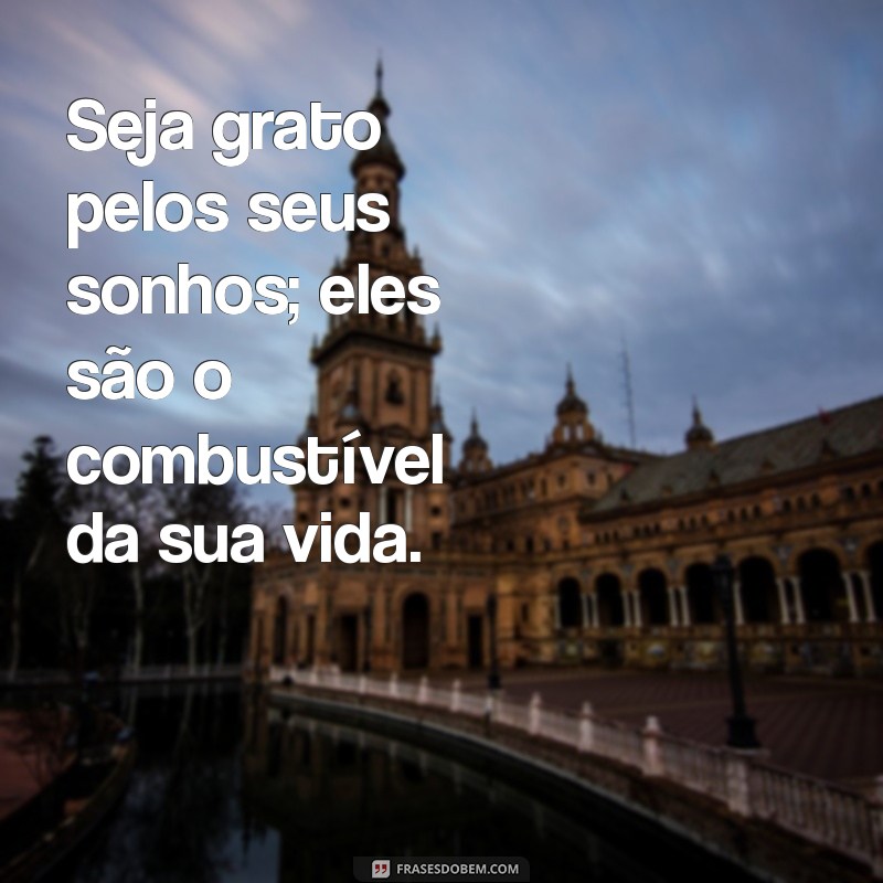 10 Motivos para Praticar a Gratidão Todos os Dias 