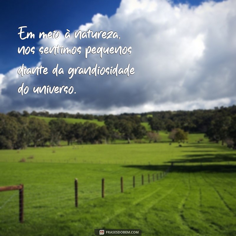 Reflexões inspiradoras sobre a natureza: confira as melhores frases! 