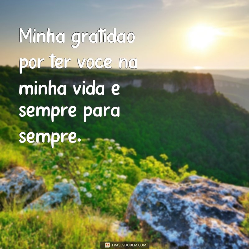 Descubra as melhores frases para sempre em todas as ocasiões 