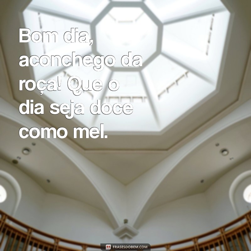 Bom Dia na Roça: Frases Inspiradoras para Começar o Dia com Alegria no Campo 