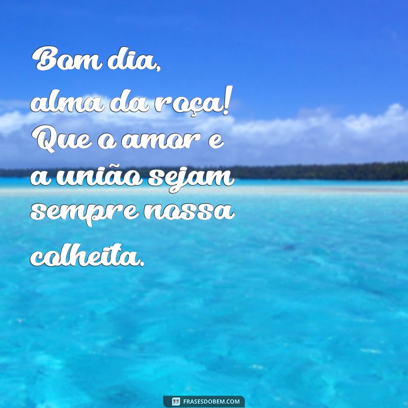 Bom Dia na Roça: Frases Inspiradoras para Começar o Dia com Alegria no Campo 