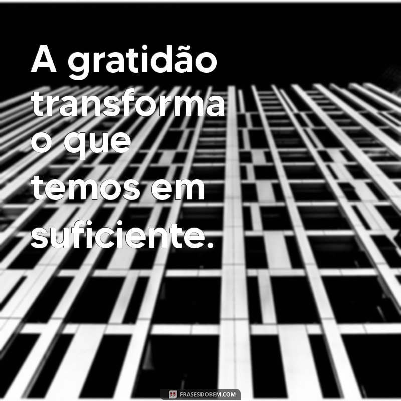 gratidão frases curtas A gratidão transforma o que temos em suficiente.