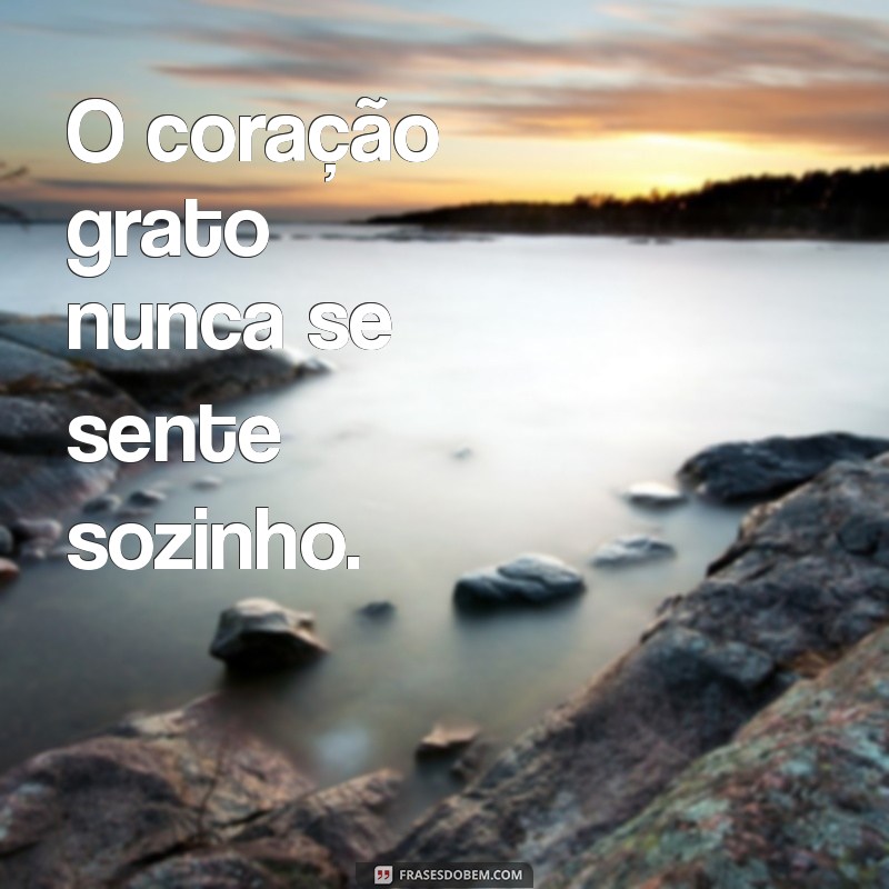 Frases Curtas de Gratidão para Inspirar o Seu Dia 