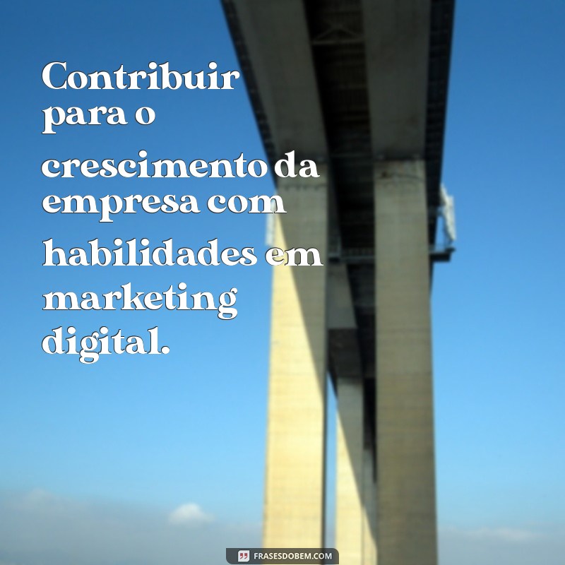 objetivos curtos para currículo Contribuir para o crescimento da empresa com habilidades em marketing digital.