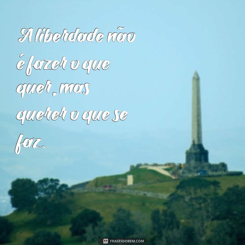 Descubra as Melhores Frases de Clarice Falcão para se Encantar e se Inspirar 