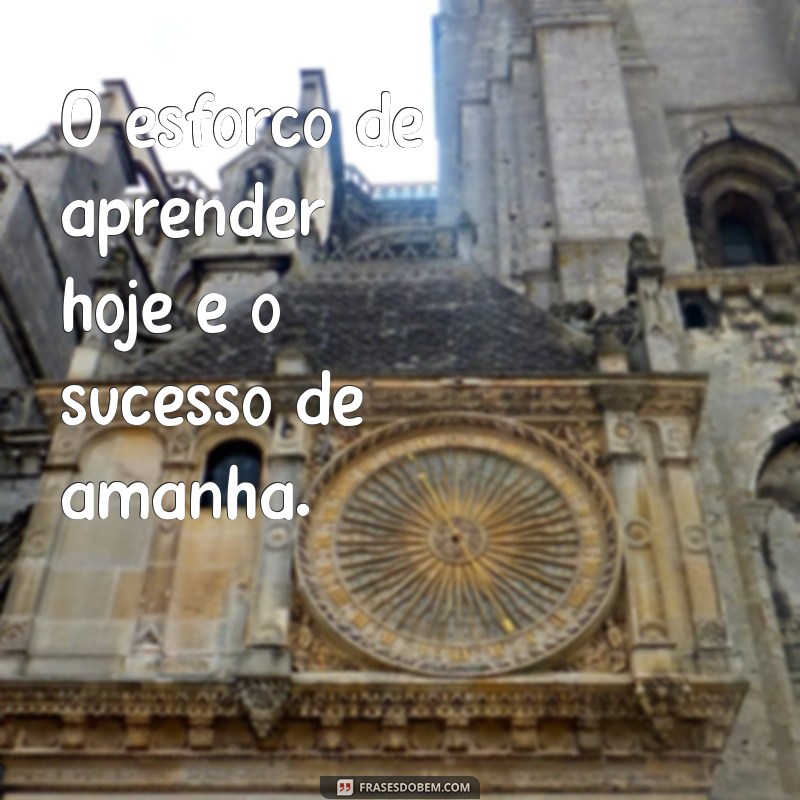 Frases Inspiradoras para Potencializar Seu Processo de Aprendizagem 