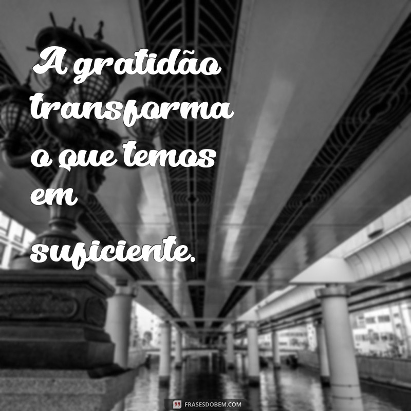 mensagens curtas de gratidão A gratidão transforma o que temos em suficiente.