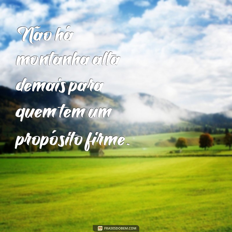 Frases Inspiradoras para Aumentar Sua Determinação e Foco 