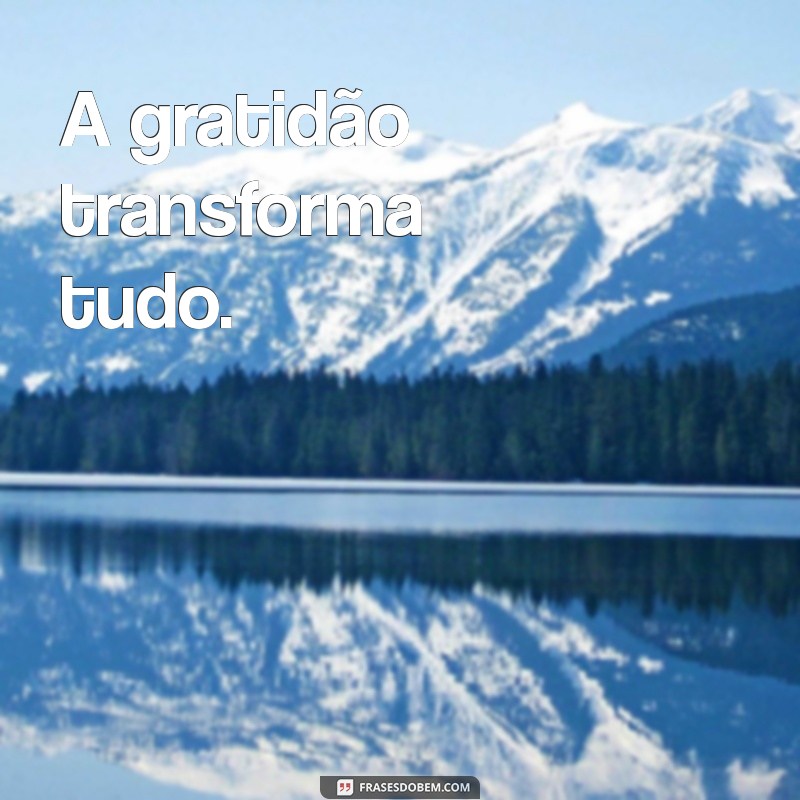 Frases Lindas e Curtas para Inspirar Seu Dia 