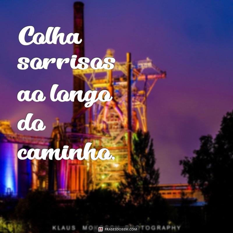 Frases Lindas e Curtas para Inspirar Seu Dia 