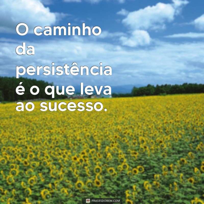 Descubra as Melhores Frases Inspiradoras para Acompanhar Seu Caminho 