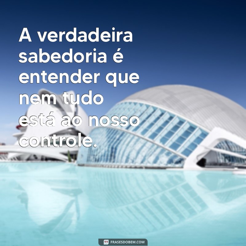 Frases Inspiradoras de Calma e Sabedoria para Momentos de Reflexão 