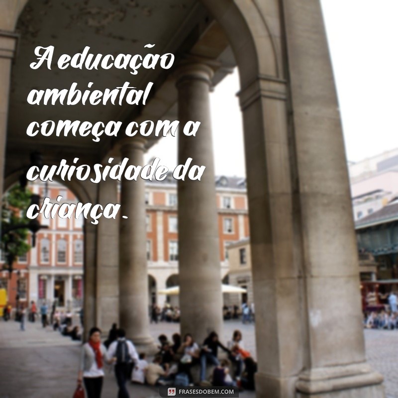 Frases Inspiradoras sobre Meio Ambiente para Educação Infantil 