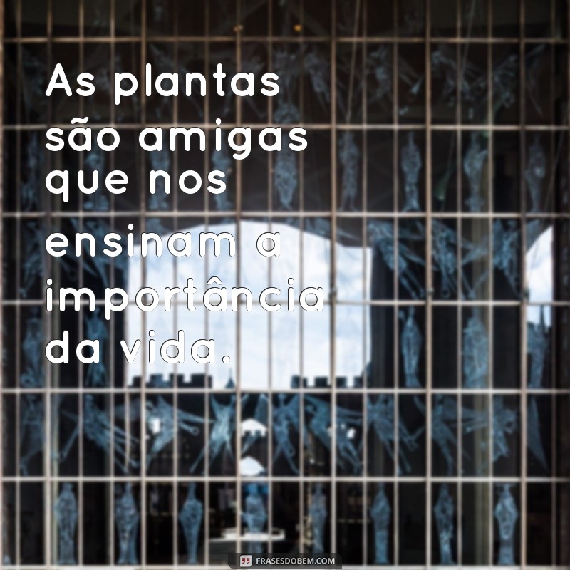 Frases Inspiradoras sobre Meio Ambiente para Educação Infantil 