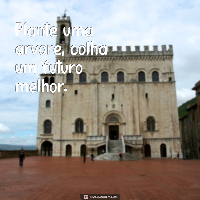 frases curtas para o dia da arvore Plante uma árvore, colha um futuro melhor.