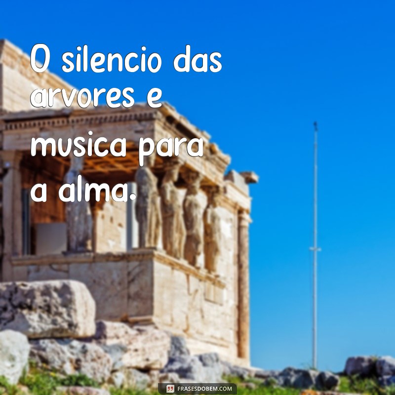 Frases Curtas e Inspiradoras para Celebrar o Dia da Árvore 