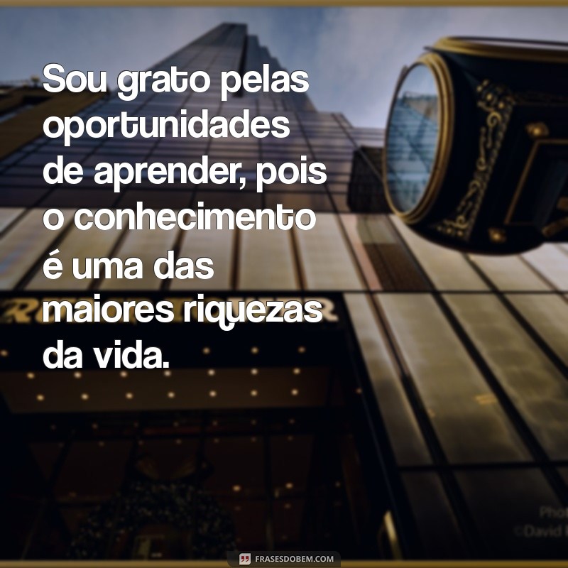 10 Mensagens Inspiradoras de Gratidão pela Vida para Refletir e Compartilhar 