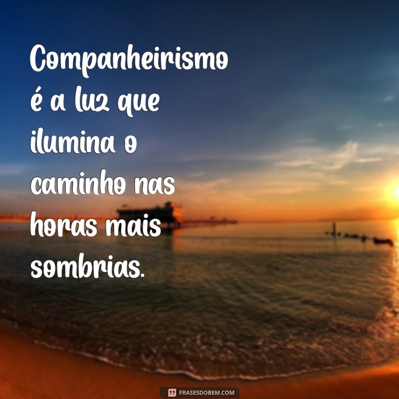 frases sobre companherismo Companheirismo é a luz que ilumina o caminho nas horas mais sombrias.