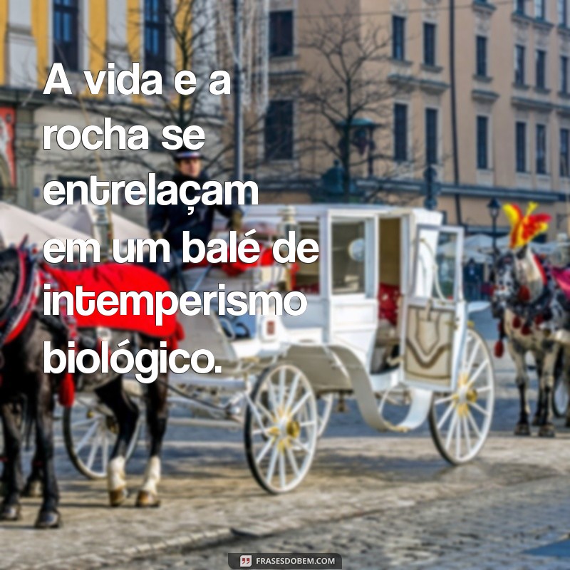 Intemperismo Biológico: Entenda o Impacto dos Organismos na Degradação das Rochas 