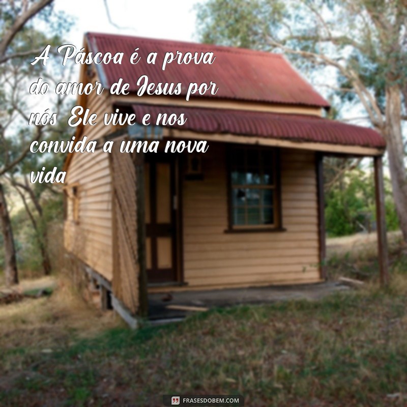 Mensagem de Páscoa: Celebre a Vida de Jesus e a Esperança Renovada 