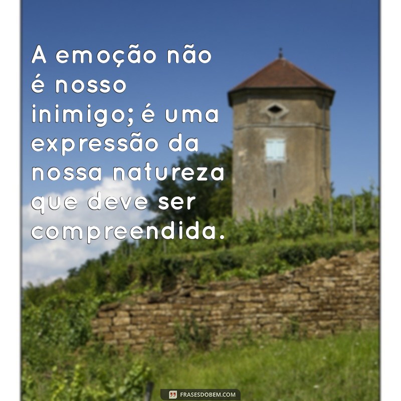 Descubra as Melhores Frases de Spinoza para Inspirar sua Reflexão 