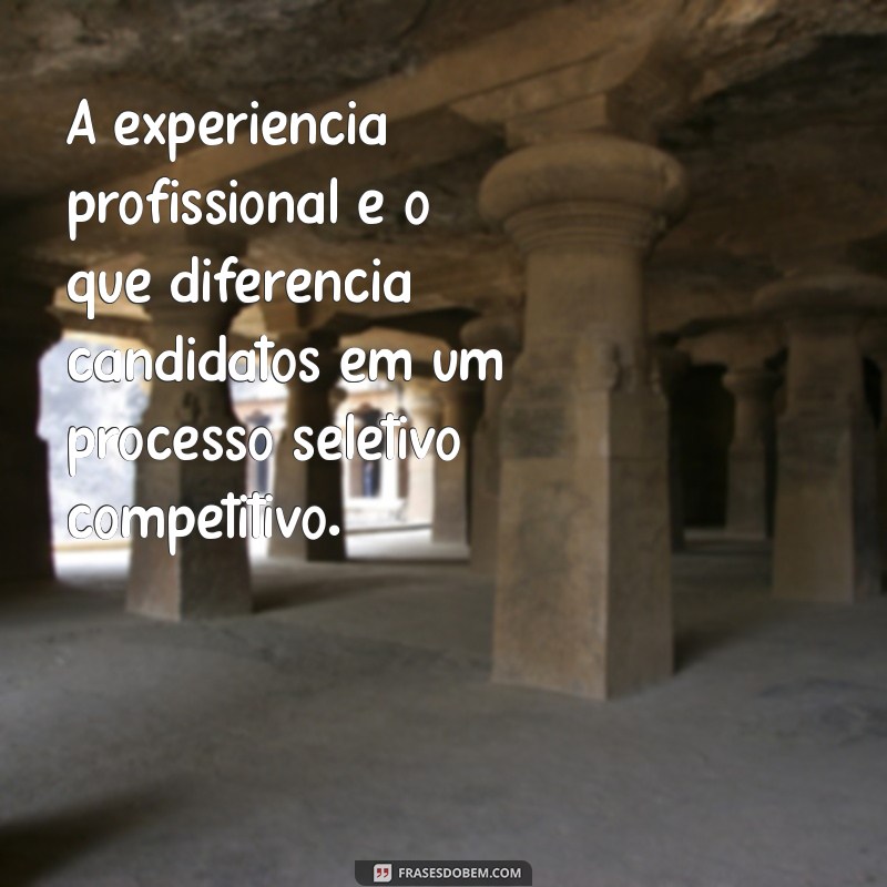 Experiência Profissional: O Que É e Como Valorizar no Seu Currículo 