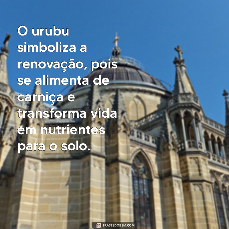 urubu significado O urubu simboliza a renovação, pois se alimenta de carniça e transforma vida em nutrientes para o solo.