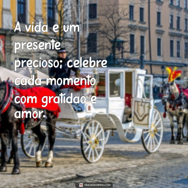 mensagem a favor da vida A vida é um presente precioso; celebre cada momento com gratidão e amor.