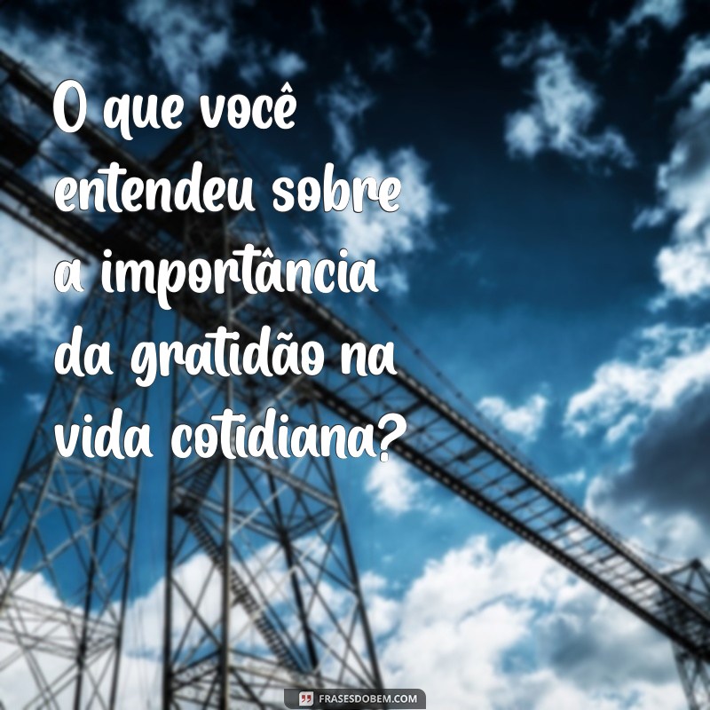 o que você entendeu sobre O que você entendeu sobre a importância da gratidão na vida cotidiana?