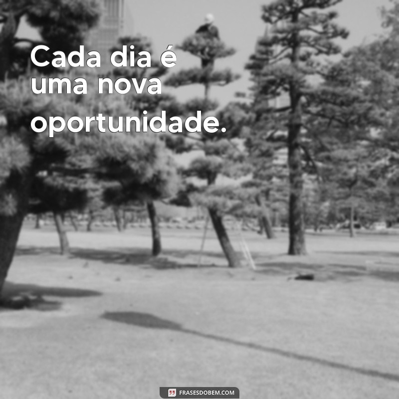 Frases Curtas de Motivação para Status do WhatsApp: Inspire Seus Contatos! 