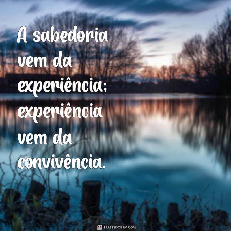 Frases Inspiradoras: Descubra Mensagens Poderosas para Todos os Temas 