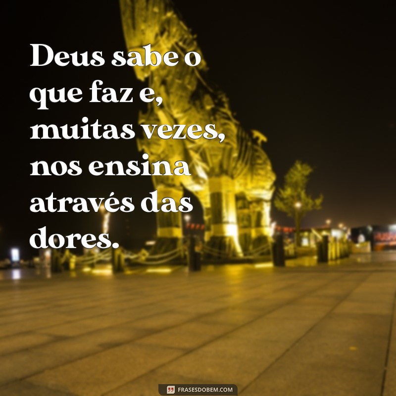 Frases Inspiradoras: Deus Sabe o Que Faz e Nos Ensina a Confiar 