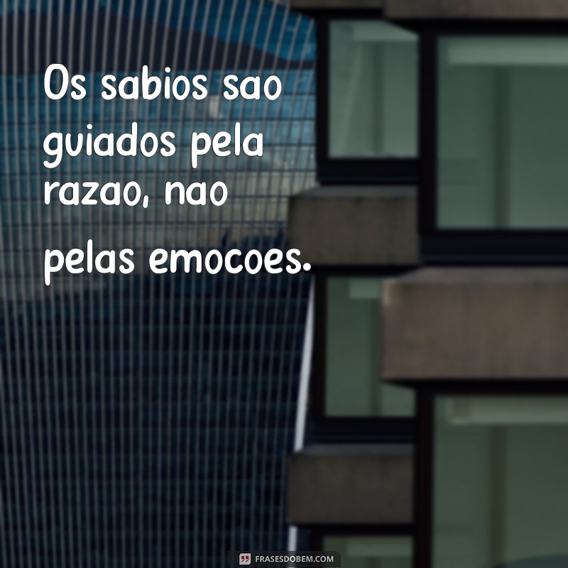 Frases Inspiradoras de Epicteto: Sabedoria Estoica para o Dia a Dia 