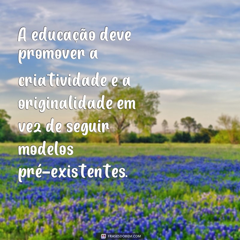 Descubra as melhores frases de inspiração e sabedoria de Rudolf Steiner 