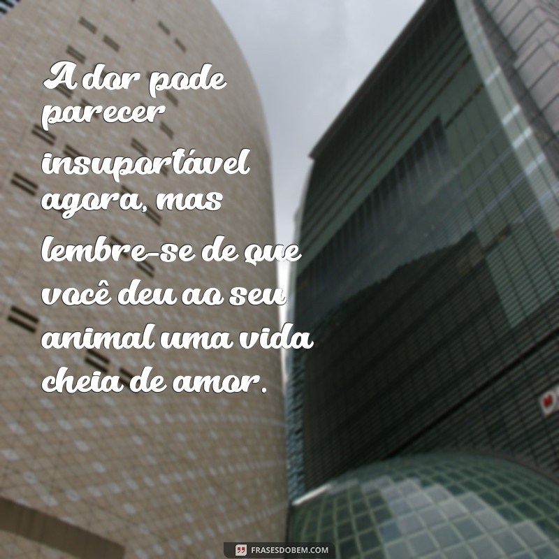 Como Confortar o Coração: Mensagens de Apoio para Quem Perdeu um Animal de Estimação 